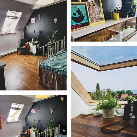 Apartment Roof
