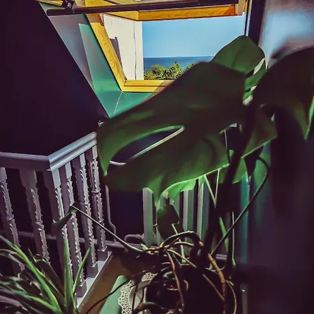Apartment Roof