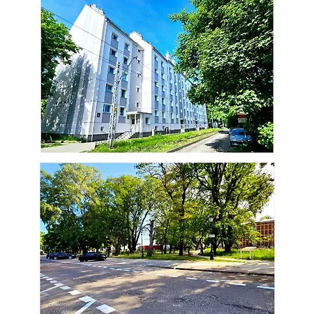 Apartment Roof