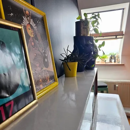 Apartament Roof